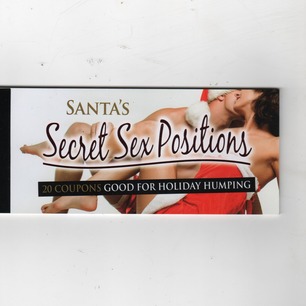 Santa's Secret Sex Positions